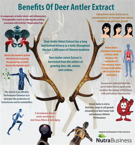 deer antler velvet uses.